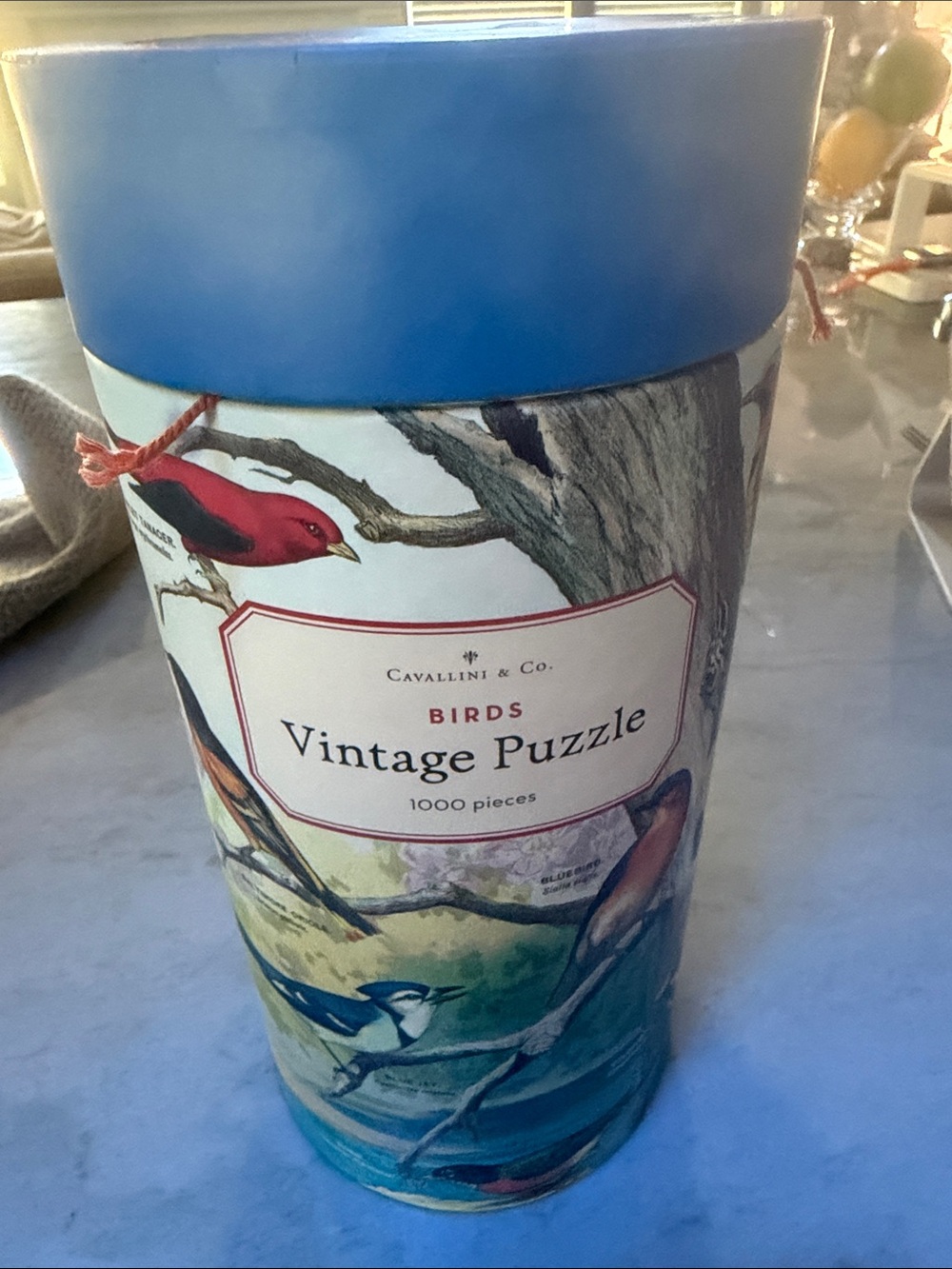 Cavalini Birds Vintage Puzzle – Blue with Red Accent